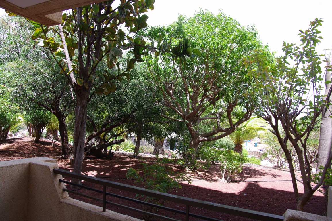 barcelo lanzarote